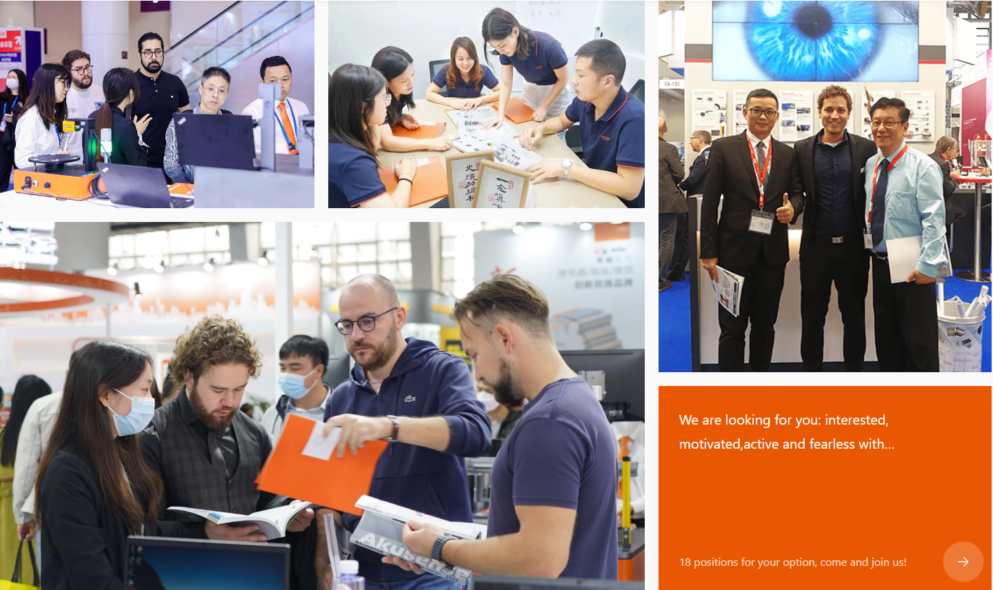 Company Statistics Visualization